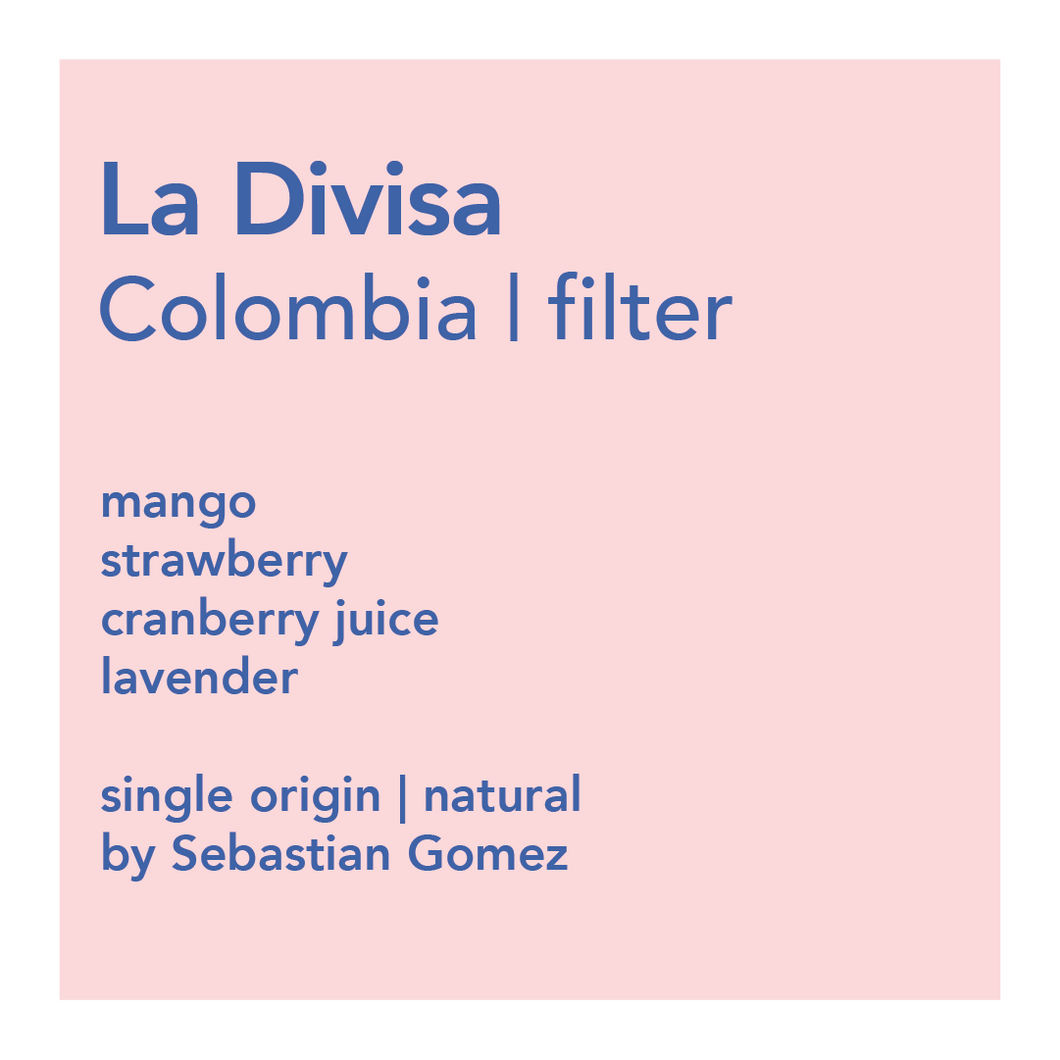 La Divisa, Colombia filter