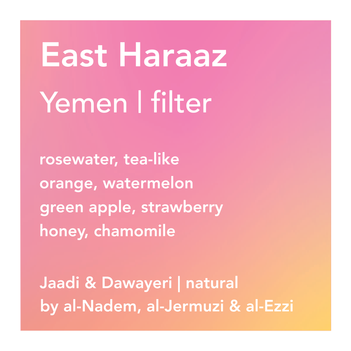 East Haraaz, Yemen filter
