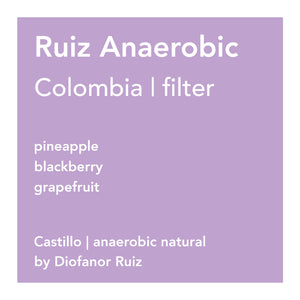 Ruiz Anaerobic filter