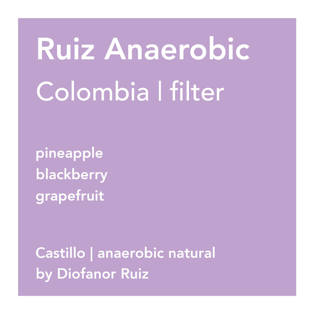 Ruiz Anaerobic filter
